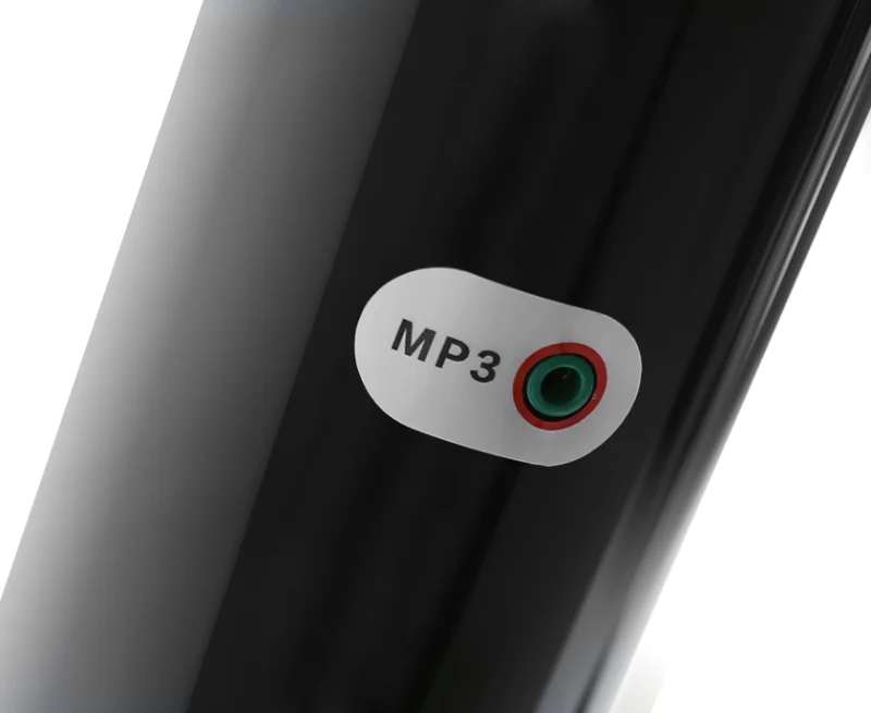 МУЛЬТИМЕДИЙНЫЙ ВХОД AUDIO IN (MP3)