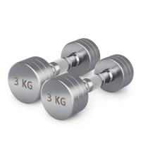 Гантель UNIX Fit PRO круглая хромированная 3 кг, 2 шт.