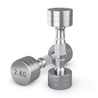 Гантель UNIX Fit PRO круглая хромированная 2 кг, 2 шт.