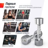 Гантель UNIX Fit PRO круглая хромированная 2 кг, 2 шт.
