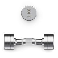 Гантель UNIX Fit PRO круглая хромированная 2 кг, 2 шт.