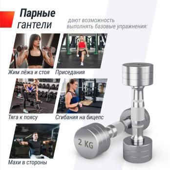 Гантель UNIX Fit PRO круглая хромированная 2 кг, 2 шт.