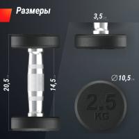 Гантель UNIX Fit PRO круглая обрезиненная 2,5 кг, 2 шт.