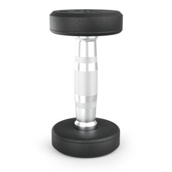 Гантель UNIX Fit PRO круглая обрезиненная 2,5 кг, 2 шт.