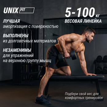 Гантель UNIX Fit PRO круглая обрезиненная 2,5 кг, 2 шт.
