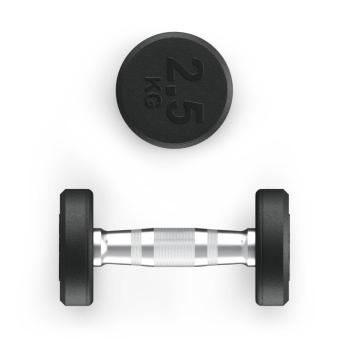 Гантель UNIX Fit PRO круглая обрезиненная 2,5 кг, 2 шт.
