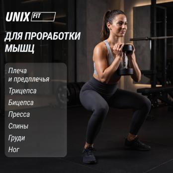 Гантель UNIX Fit PRO круглая обрезиненная 2,5 кг, 2 шт.
