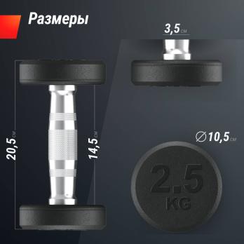 Гантель UNIX Fit PRO круглая обрезиненная 2,5 кг, 2 шт.