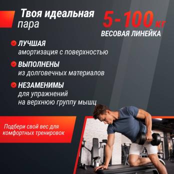 Гантель UNIX Fit PRO круглая обрезиненная 2,5 кг, 2 шт.