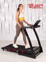 Беговая дорожка Titanium Masters Physiotech A260