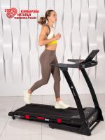 Беговая дорожка Titanium Masters Physiotech A260