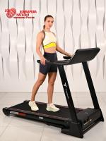 Беговая дорожка Titanium Masters Physiotech A460 TFT