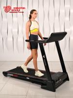 Беговая дорожка Titanium Masters Physiotech A460 TFT