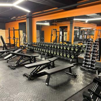 Скамья горизонтальная Insight Fitness TN34