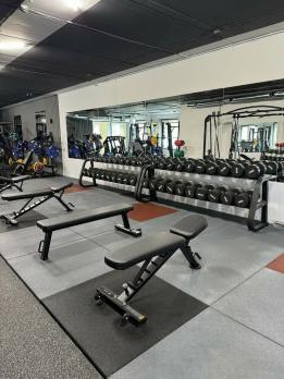 Скамья горизонтальная Insight Fitness TN34