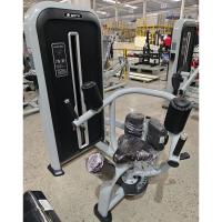 Торс-машина Insight Fitness TY12