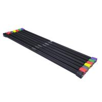 Бодибар Gymmaster ANA-210 4 кг