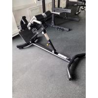 Гиперэкстензия наклонная Insight Fitness TN89E