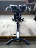 Гиперэкстензия наклонная Insight Fitness TN89E