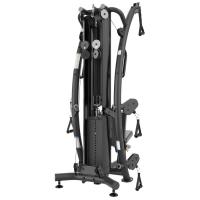 Мультистанция Gymmaster TF6005