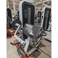 Бицепс-машина Insight Fitness TY05