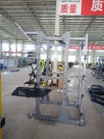 Силовая рама Insight Fitness TM101