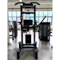 Гравитрон Gymmaster EK113