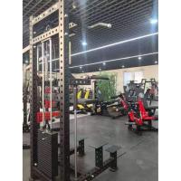 Гравитрон Gymmaster EK113