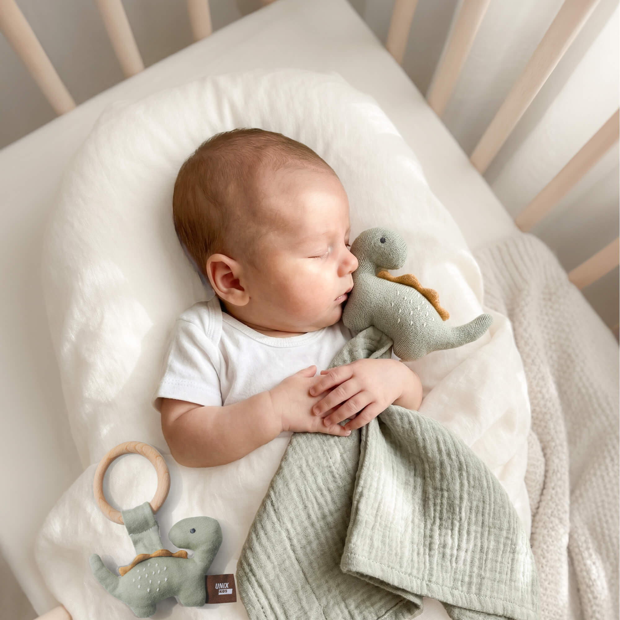 Набор игрушек прорезыватель и комфортер UNIX Kids Dino / Дино