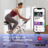 Велотренажер DFC Yesoul Smart M1 BLACK с пульсометром