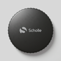 Батут каркасный 300см (10фут), SCHOLLE, с защитной сеткой и лестницей, зеленый/оранжевый