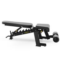 Скамья универсальная Insight Fitness DZ61