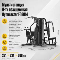Мультистанция 6-ти позиционная Gymmaster FC6014