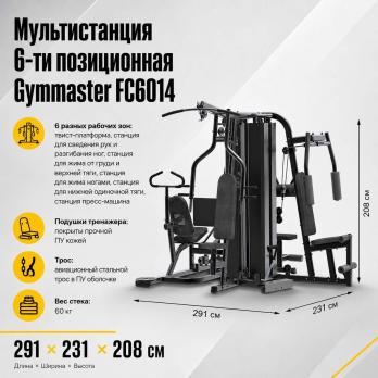 Мультистанция 6-ти позиционная Gymmaster FC6014