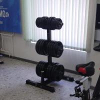 Стойка для дисков Insight Fitness TS206