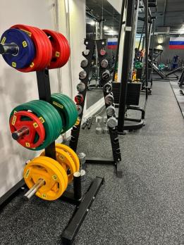 Стойка для дисков Insight Fitness TS206