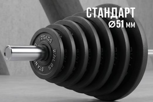 Диск 51 мм. чугунный окрашенный 2,5 кг, VictoryFit VF-SC510250