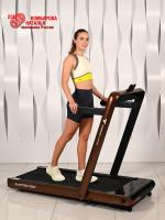 Беговая дорожка Titanium Masters Slimtech S60, коричневая
