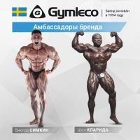 Гравитрон Gymleco 314