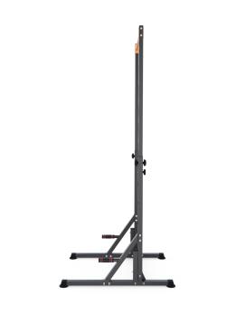 Напольный турник DFC HOMEGYM SC-G719