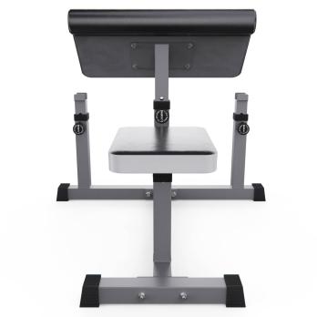 Скамья Скотта DFC Homegym AY001