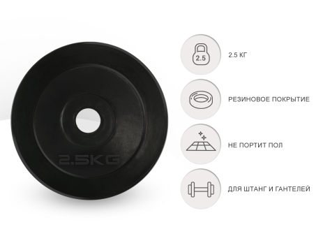 Диск обрезиненный UNIX Fit 2.5 кг, 25 мм